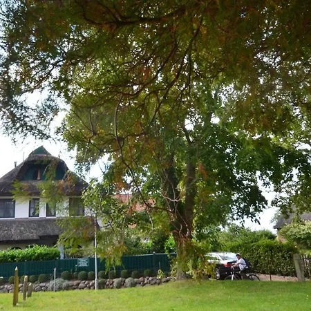 Grosses-reethaus-sanddorn Dom wakacyjny Groß Zicker