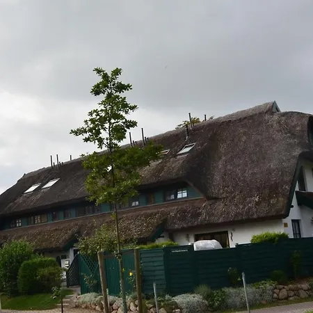 Grosses-reethaus-sanddorn Dom wakacyjny *